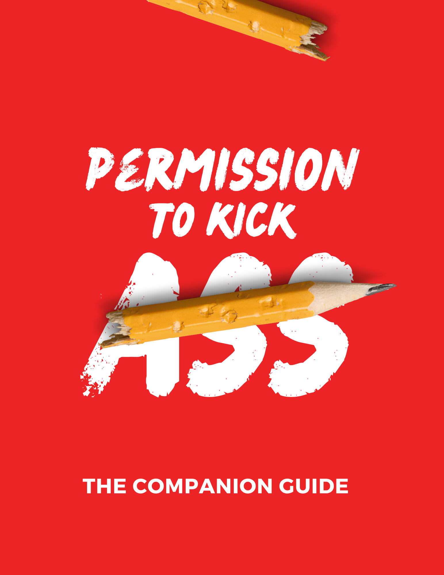 Permission to Kick Ass Companion Guide